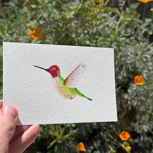 Colibri d'Anna / Aquarelle / Peint à la main / Carte postale / Carte-cadeau / Impression