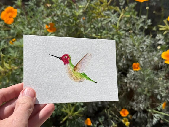 Anna's Hummingbird / Water Color / Hand painted / Postcard / Gift Card / Print