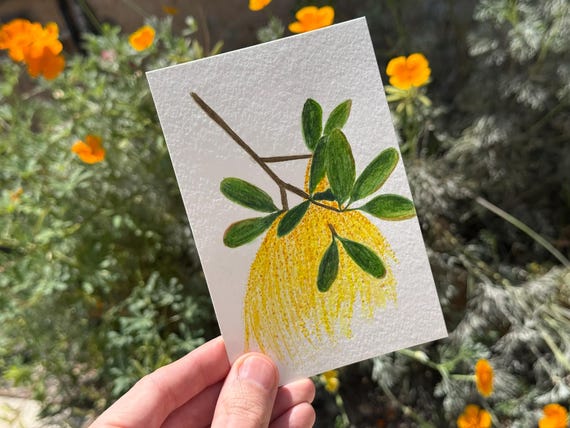 Live Oak / Water Color / Hand painted / Postcard / Gift Card / Print