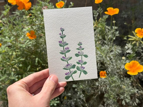 Desert Lavender / Water Color / Hand painted / Postcard / Gift Card / Print