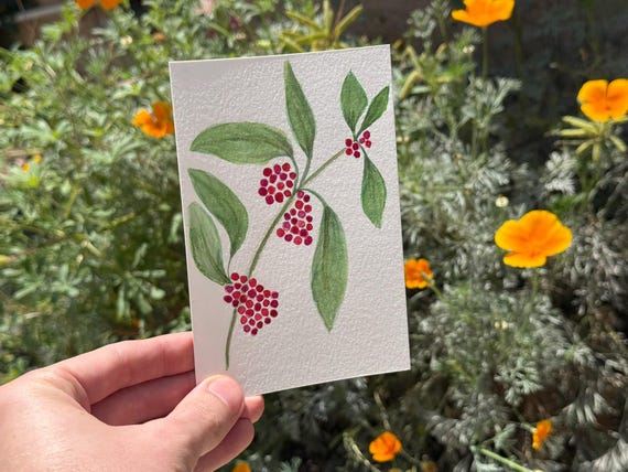 Beautyberry / Water Color / Hand painted / Postcard / Gift Card / Print