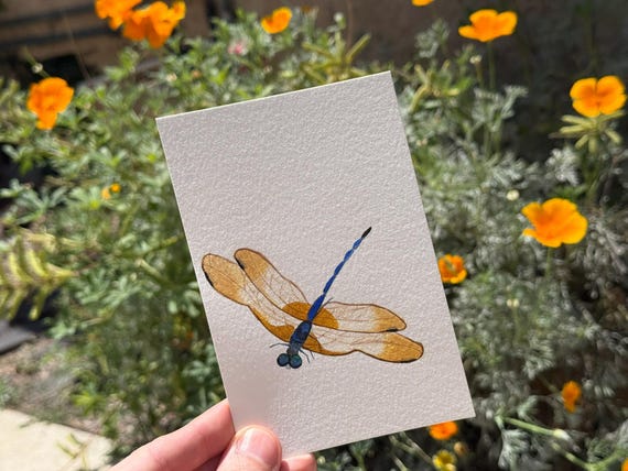 Blue Dasher / Water Color / Hand painted / Postcard / Gift Card / Print