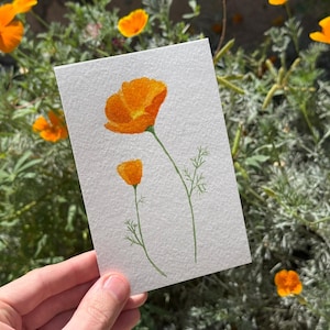 Coquelicot de Californie / Aquarelle / Peint à la main / Carte postale / Carte-cadeau / Impression