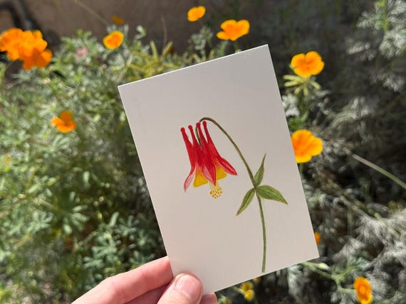 Red Columbine / Water Color / Hand painted / Postcard / Gift Card / Print