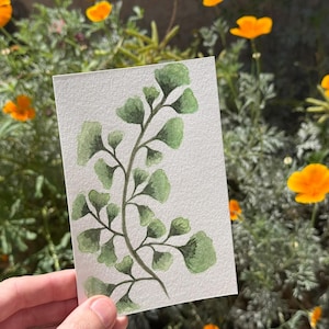 Culantrillo / Acuarela / Pintado a mano / Postal / Tarjeta de regalo / Impresión