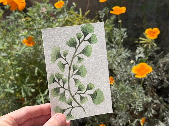 Maidenhair Fern / Water Color / Hand painted / Postcard / Gift Card / Print