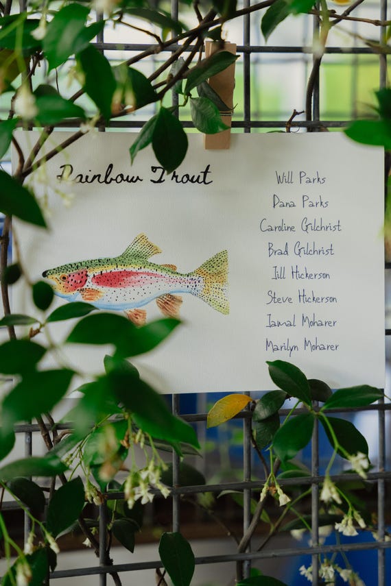 Rainbow Trout / Water Color / Hand painted / Postcard / Gift Card / Print