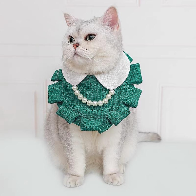 Elegant pärlhalsband med volanger för katter och små hundar, prinsessliknande husdjurstillbehör för vardagsbruk eller speciella tillfällen bild 7