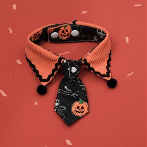 May include: Orange and black Halloween pet collar with a tie. The collar is orange corduroy with black trim and pom-poms. The tie is black with a pumpkin and skeleton print. The collar has two white buttons for adjustment.