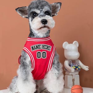 Custom Basketball Jersey for Dogs and Cats  Personalized Heat Press Pet Shirt Red Athletic Outfit for Pets with Name and Number Option