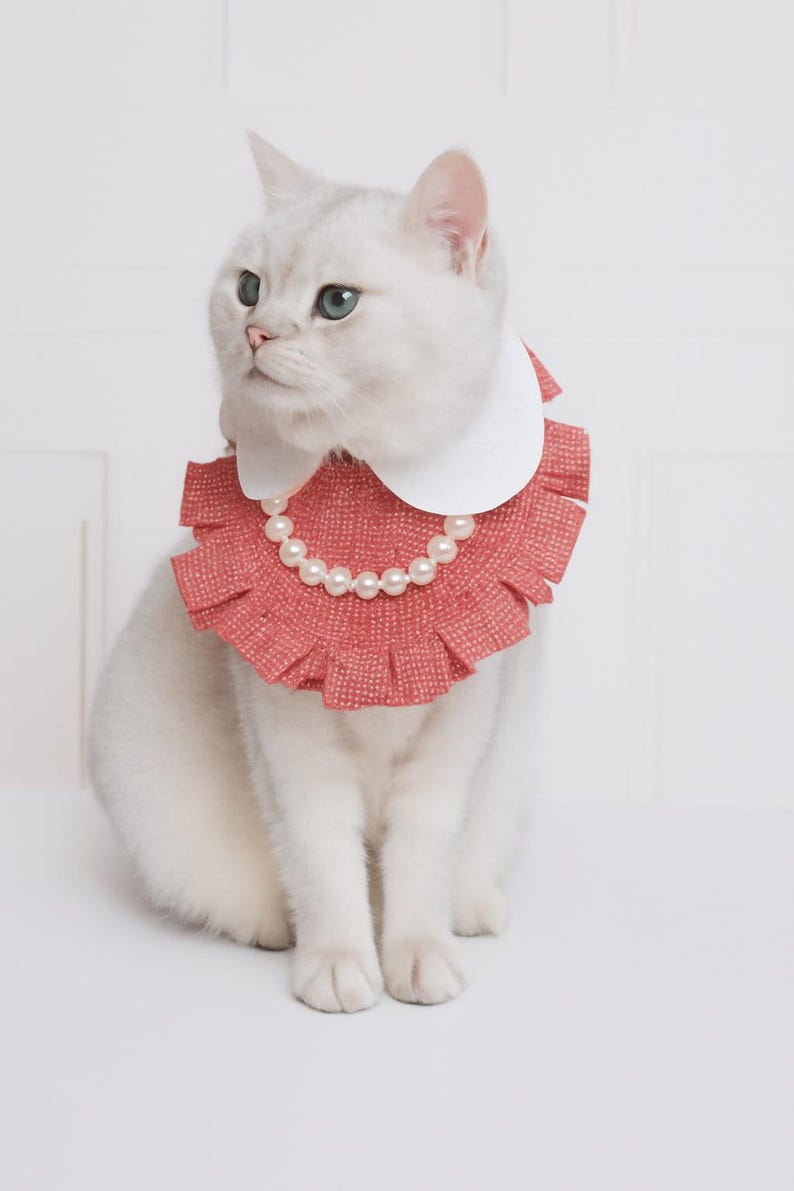 Elegant pärlhalsband med volanger för katter och små hundar, prinsessliknande husdjurstillbehör för vardagsbruk eller speciella tillfällen bild 4