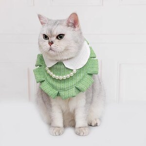 Elegant pärlhalsband med volanger för katter och små hundar, prinsessliknande husdjurstillbehör för vardagsbruk eller speciella tillfällen bild 3