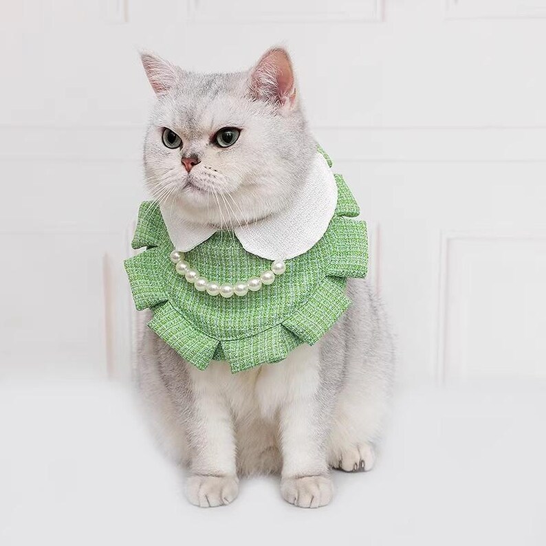 Elegant pärlhalsband med volanger för katter och små hundar, prinsessliknande husdjurstillbehör för vardagsbruk eller speciella tillfällen bild 3