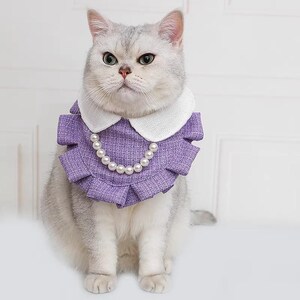 Elegant pärlhalsband med volanger för katter och små hundar, prinsessliknande husdjurstillbehör för vardagsbruk eller speciella tillfällen bild 6