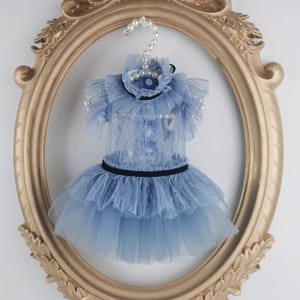 Lace Pet Dress with Tutu Skirt for Small Dogs and Cats – Princess Outfit for Wedding Birthday Party Photo Shoot Fancy Pet Clothes