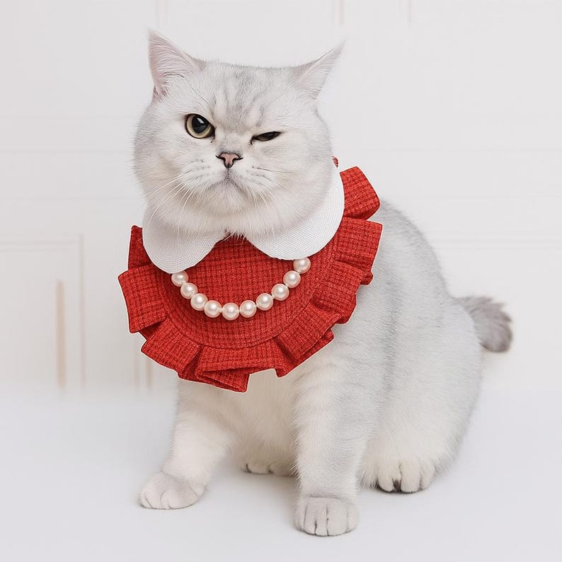 Elegant pärlhalsband med volanger för katter och små hundar, prinsessliknande husdjurstillbehör för vardagsbruk eller speciella tillfällen bild 2