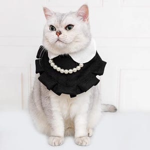 Elegant pärlhalsband med volanger för katter och små hundar, prinsessliknande husdjurstillbehör för vardagsbruk eller speciella tillfällen bild 5