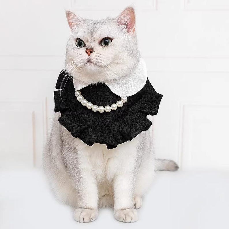 Elegant pärlhalsband med volanger för katter och små hundar, prinsessliknande husdjurstillbehör för vardagsbruk eller speciella tillfällen bild 5