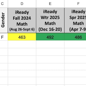 Könnte beinhalten: Eine Tabelle mit Daten, die in Spalten und Zeilen organisiert sind. Die erste Spalte ist mit "Nachname, Vorname" beschriftet. Weitere Spalten umfassen "Klasse/Abschnitt", "Geschlecht" und Ergebnisse für iReady Mathe- und Lesetests von Herbst 2024 bis Frühjahr 2025.