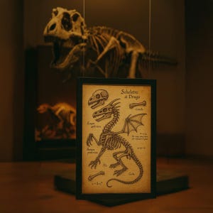 Dragon Skeleton Wall Art, Vintage Anatomical Fantasy Print, Da Vinci Style Mythical Creature Poster Wall Art, Vintage Decor, Poster