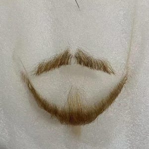 May include: A light brown, synthetic beard and mustache set. The mustache is a separate piece, and the beard is a single piece with a curved shape. The hair is a medium length and has a natural appearance.