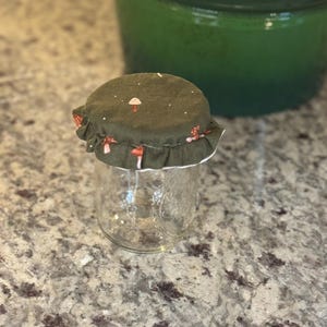 May include: A clear glass jar with a green fabric lid featuring a mushroom pattern. The lid has a ruffled edge. A green pot is in the background. The jar is sitting on a speckled countertop.