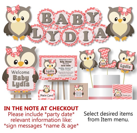 Girl Owl Baby Shower Decorations For Birthday Party Banner Invitation