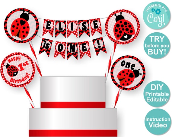Ladybug Cake Topper Ladybug Birthday Cake Ladybug 1st Birthday