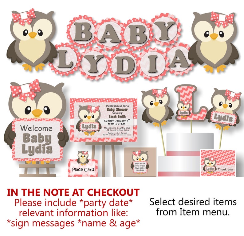Girl Owl Baby Shower Decorations for Girl Owl Birthday Party Etsy