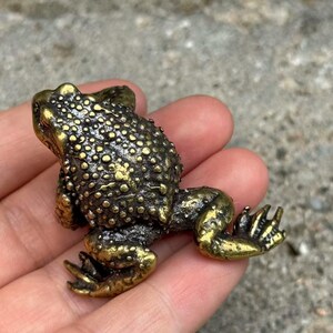 Könnte beinhalten: Detaillierte Froschfigur aus Messing mit strukturierter, unebener Oberfläche. Der Frosch befindet sich in einer hockenden Position, wobei seine Beine und Füße sichtbar sind. Die Figur hat ein Gold- und Bronzefarbschema.
