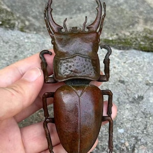 May include: A bronze-coloured metal stag beetle figurine featuring large, curved mandibles, a textured thorax with small indentations, and a smooth, rounded abdomen. The insect sculpture has six articulated legs and a dark, weathered patina finish.