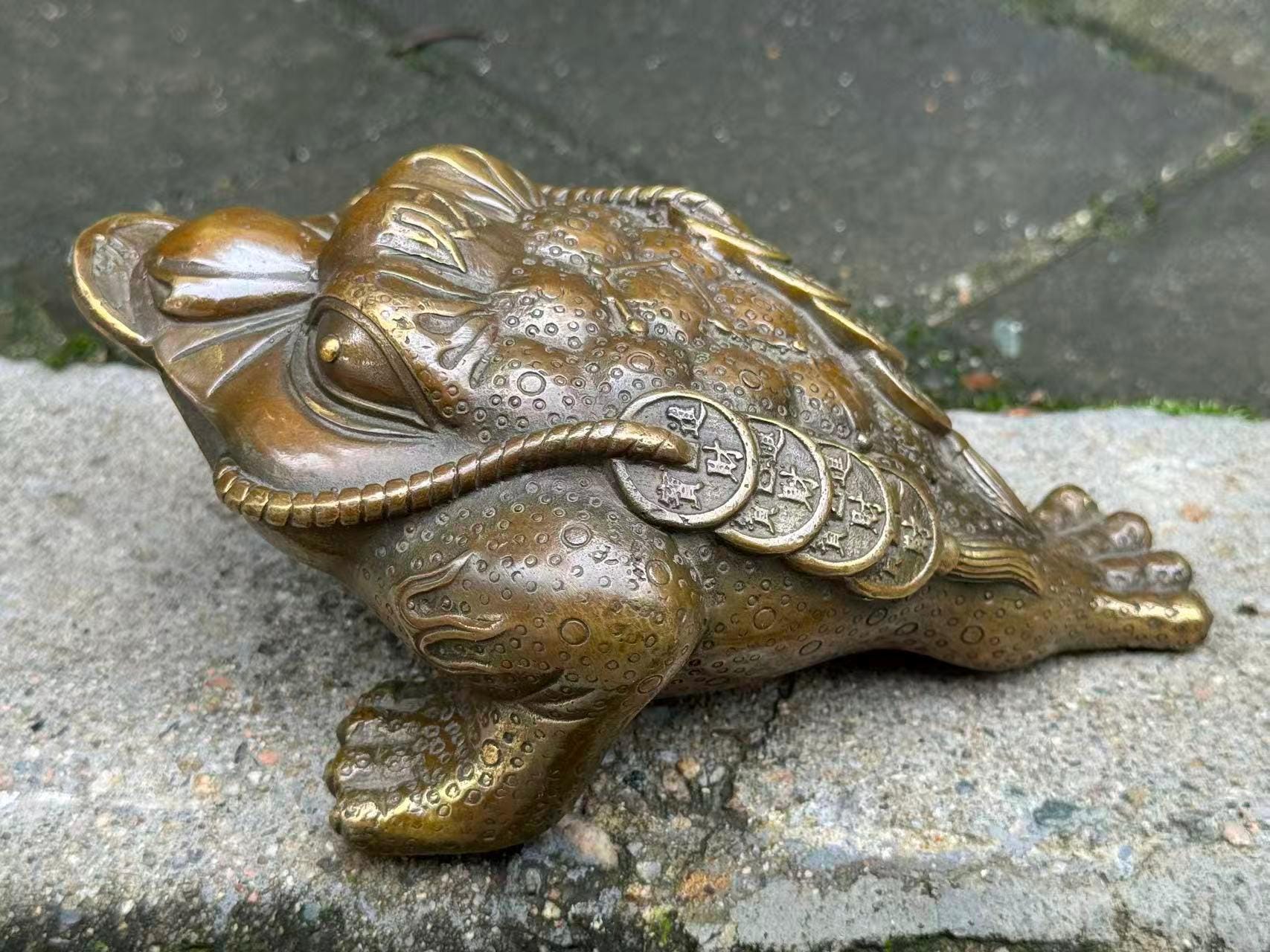 Brass Money Toad - Etsy