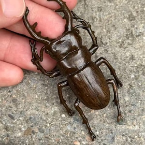 Kupferkäferstatue, Insektenfigur Schreibtischdekoration Handwerk Kindergeschenke Home Office Wohnzimmer Ornaments Tee Haustier