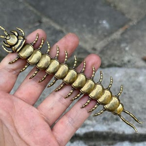 Op de afbeelding: Een goudkleurig metalen duizendpootfiguur met een gesegmenteerd lichaam, talrijke gebogen poten aan weerszijden en twee antennes aan de kop. Het insectvormige object heeft een gladde afwerking en een gedetailleerde, realistische structuur.