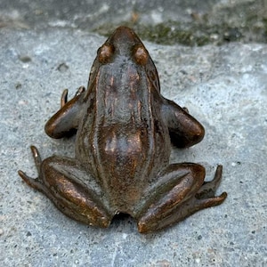 Puede incluir: Escultura de rana de bronce con textura detallada. La rana está en posición de descanso, con las patas y los brazos extendidos. La escultura tiene una pátina marrón oscuro y está sobre una superficie de piedra gris.