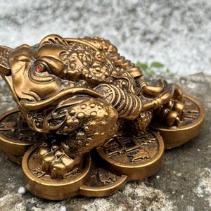 May include: A bronze-coloured, three-legged toad figurine with red eyes, resting on a bed of coins. The toad is detailed with textured skin and sits on six coins, a symbol of wealth and prosperity.