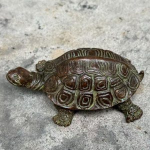 以下が含まれることがあります： 詳細な甲羅模様のブロンズ色のカメの置物。彫刻は風化した外観で、甲羅、頭、足にテクスチャが見えます。カメは灰色の表面に配置されています。