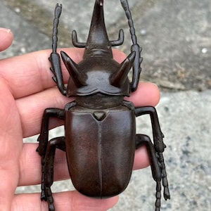 Op de afbeelding: Een gedetailleerde, donkerbruine keversculptuur met prominente hoorns en antennes. Het insect heeft een gesegmenteerd lichaam en poten en wordt in een hand gehouden. De sculptuur is waarschijnlijk gemaakt van metaal of een vergelijkbaar materiaal.