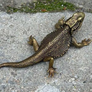 Puede incluir: Una detallada figura de lagarto de color bronce con un cuerpo texturizado y una cabeza estampada. El lagarto está posado sobre una superficie de piedra gris, mostrando su intrincado diseño y sus características realistas. La cola de la figura es larga y afilada.