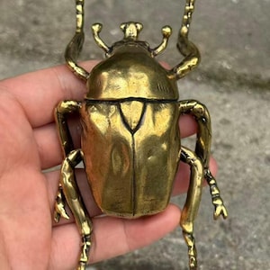 Può includere: Una statuetta a forma di scarabeo color oro metallizzato realizzata in ottone. L'insetto presenta un corpo segmentato con un dorso liscio e arrotondato, una testa distinta con due piccole antenne e sei zampe articolate che si estendono.