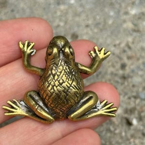 May include: A small, detailed brass frog figurine with outstretched arms and legs. The frog has a textured body and is in a sitting position. The brass has a golden hue, and the frog is resting on a surface.