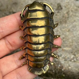 Mässingsstaty av djuphavsbagge, insektsdekoration för skrivbord, barnpresenter, hem, vardagsrum, insektsfigur, tehusdjur, pappersvikt, samlarkonst