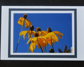 Photo Greeting Card, Yellow Coneflowers against Blue Sky, Blank Inside