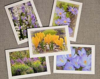 Blank Photo Greeting Cards Purple & Yellow Flowers Assortment