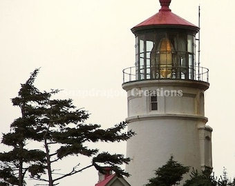 Heceta Head Lighthouse Oregon Photograph