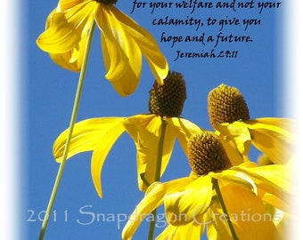 Yellow Flowers Bright Blue Sky Photo with Bible Verse Jeremiah 29:11, 8x10