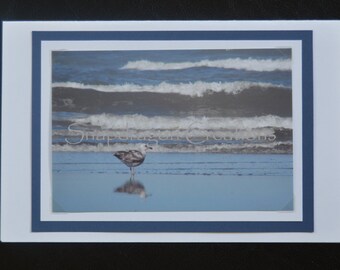 Photo Greeting Card, Seagull and Waves on Beach, Blank Inside