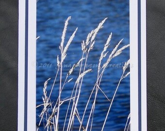 Photo Greeting Card, Dry White Summer Grass with Blue Water in Background, Blank Inside