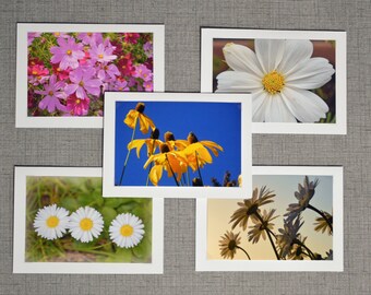 Blank Photo Greeting Cards Cosmos & Daisies Flower Assortment