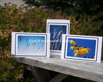 Photo Greeting Cards, Yellow Coneflowers, Summer Grass at Water's Edge, Blank Inside, Set of 3 Cards